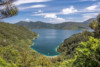 Queen Charlotte Track - Nouvelle-Zélande