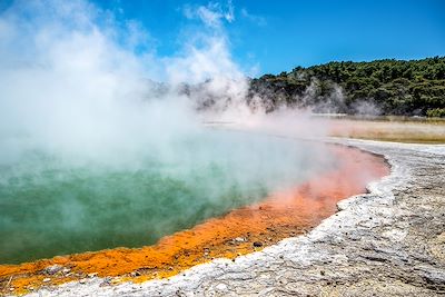 Champagne Pool - Wai-O-Tapu - Nouvelle Zélande