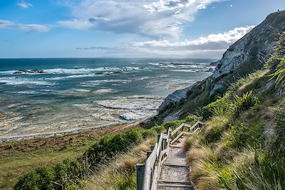 Péninsule de Kaikoura - Nouvelle Zélande