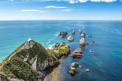 Nugget Point - Nouvelle Zélande