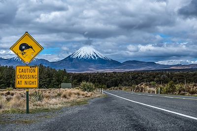 Parc national de Tongariro - Nouvelle Zélande