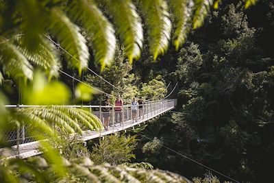 Trek dans  Le parc national Abel Tasman 