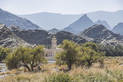 Jabal Al Akhdar - Région de Nizwa  - Oman