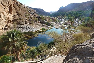 Au coeur du Wadi Bani Khaled - Oman