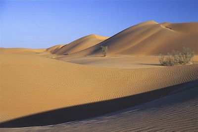 Désert de Wahiba - Oman