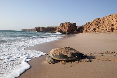 Voyage Désert des Wahibas