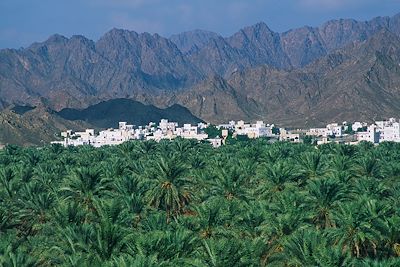 Palmeraie de Nizwa - Oman