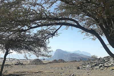 Djebel Shams - Oman