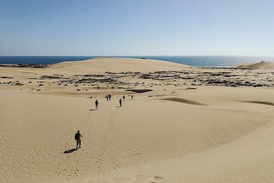 Découverte Canyon et oasis