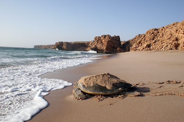 Voyage De Mascate aux sables du Rub al Khali