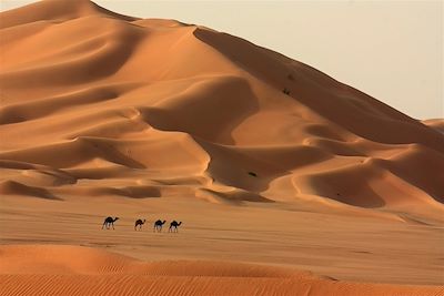 De Mascate aux sables du Rub al Khali