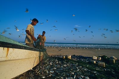 Ocean Indien - Oman