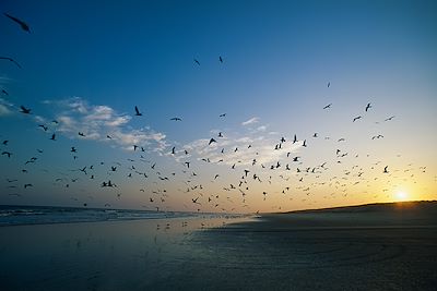 Ocean Indien - Oman