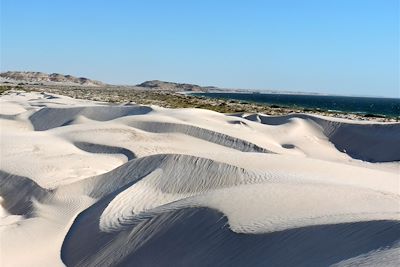 Sugar Dunes - Oman