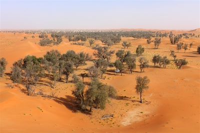 Nord du désert Rub al Khali - Oman