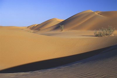 Désert de Wahiba - Oman