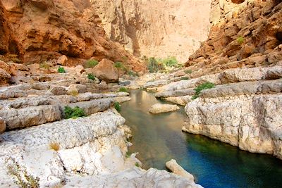 Voyage Canyon et oasis