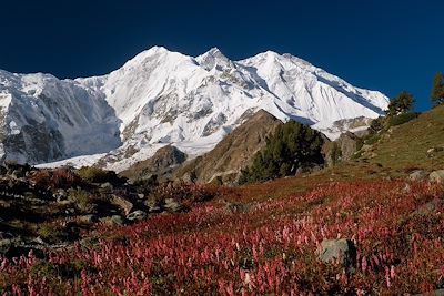 Rakaposhi - Karakoram - Pakistan