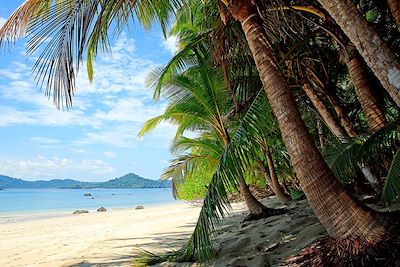 Ile Coiba - Panama