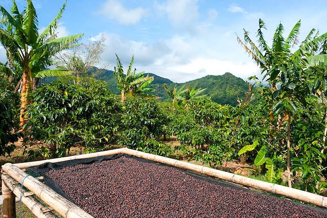 Voyage Sur les routes du Panamá