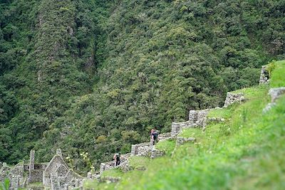 Le site de Winay Wayna sur le sentier du km 104 - Pérou