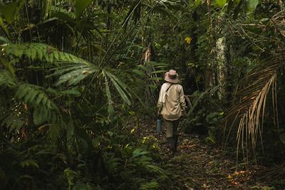 Trek dans la forêt amazonienne - Pérou