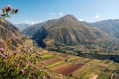 Vallée sacrée des Incas, région de Cuzco - Pérou