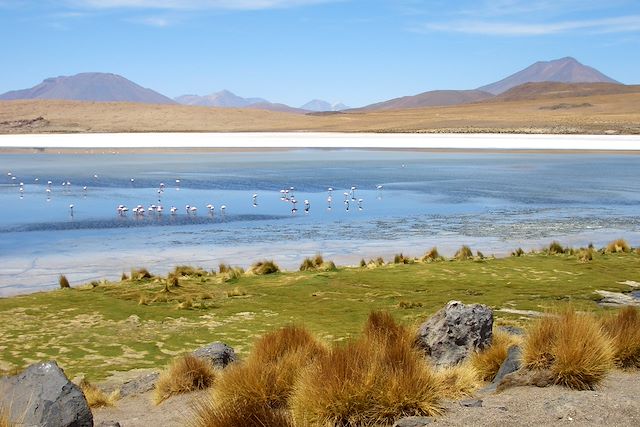 Voyage Du Machu Picchu au salar d'Uyuni