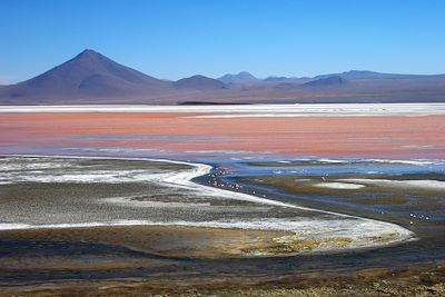 La Laguna Colorada - Bolivie