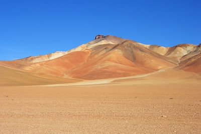 Le désert de Dali - Bolivie