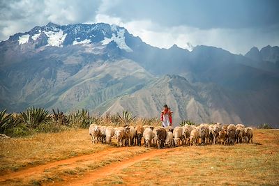 Maras - Cuzco - Pérou