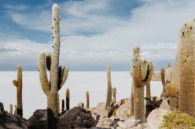 Voyage Du Machu Picchu au salar d'Uyuni