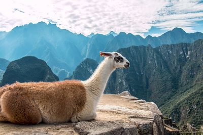 Machu Picchu - Pérou