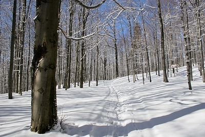 Mont Rysy - Carpates - Pologne