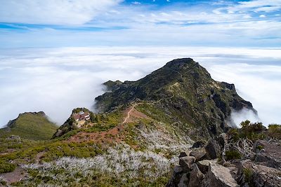 Pico Ruivo - Madère - Portugal