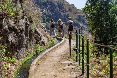 Levada do Moinho près de Ponta do Sol - Madère - Portugal