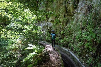 Randonnée - Levada à Madère - Portugal