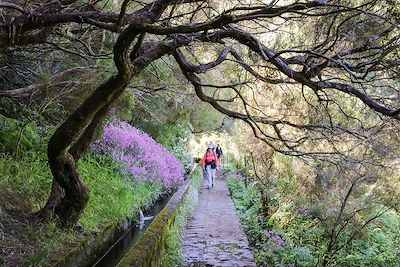 Au coeur de la forêt primaire - Rabacal - Portugal