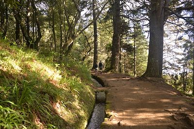 Randonnée au Chaudron vert - Madère - Portugal