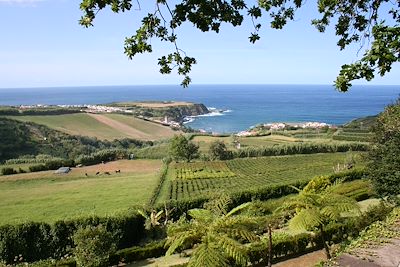 Porto Formoso - Ribeira - São Miguel - Açores - Portugal