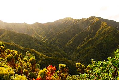 Pico da Vara - Sao Miguel - Açores