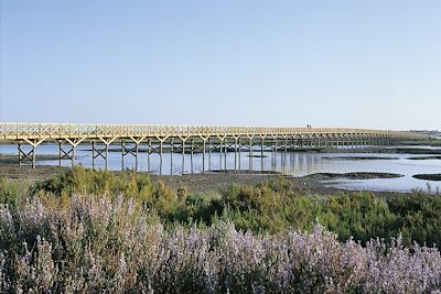 Côte sud, du cap St Vincent à Tavira