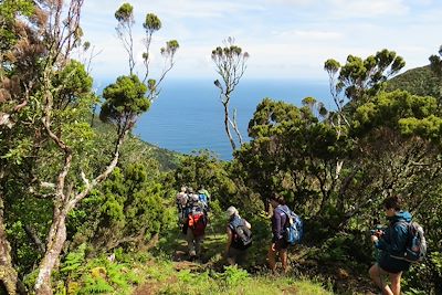 Sur le chemin des fajas - Île de Sao Jorge - Les Açores - Portugal