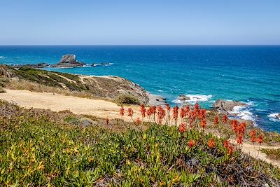 Voyage  Lisbonne et Sintra