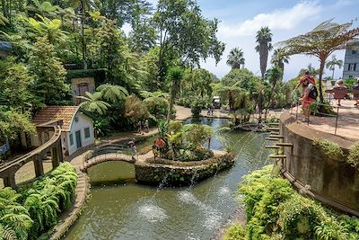 Jardin botanique - Funchal - Madère - Portugal