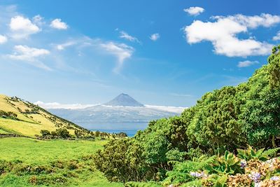 Sao Jorge - Açores - Portugal