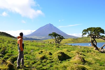 Le Pico vu depuis Lagao do Capitao - Pico - Acores - Portugal