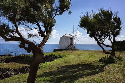 Moulin traditionnel - Corvo - Acores - Portugal