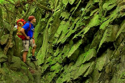 Sentier de randonnée - Sao Jorge - Acores - Portugal