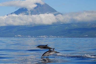 Randonnée Açores